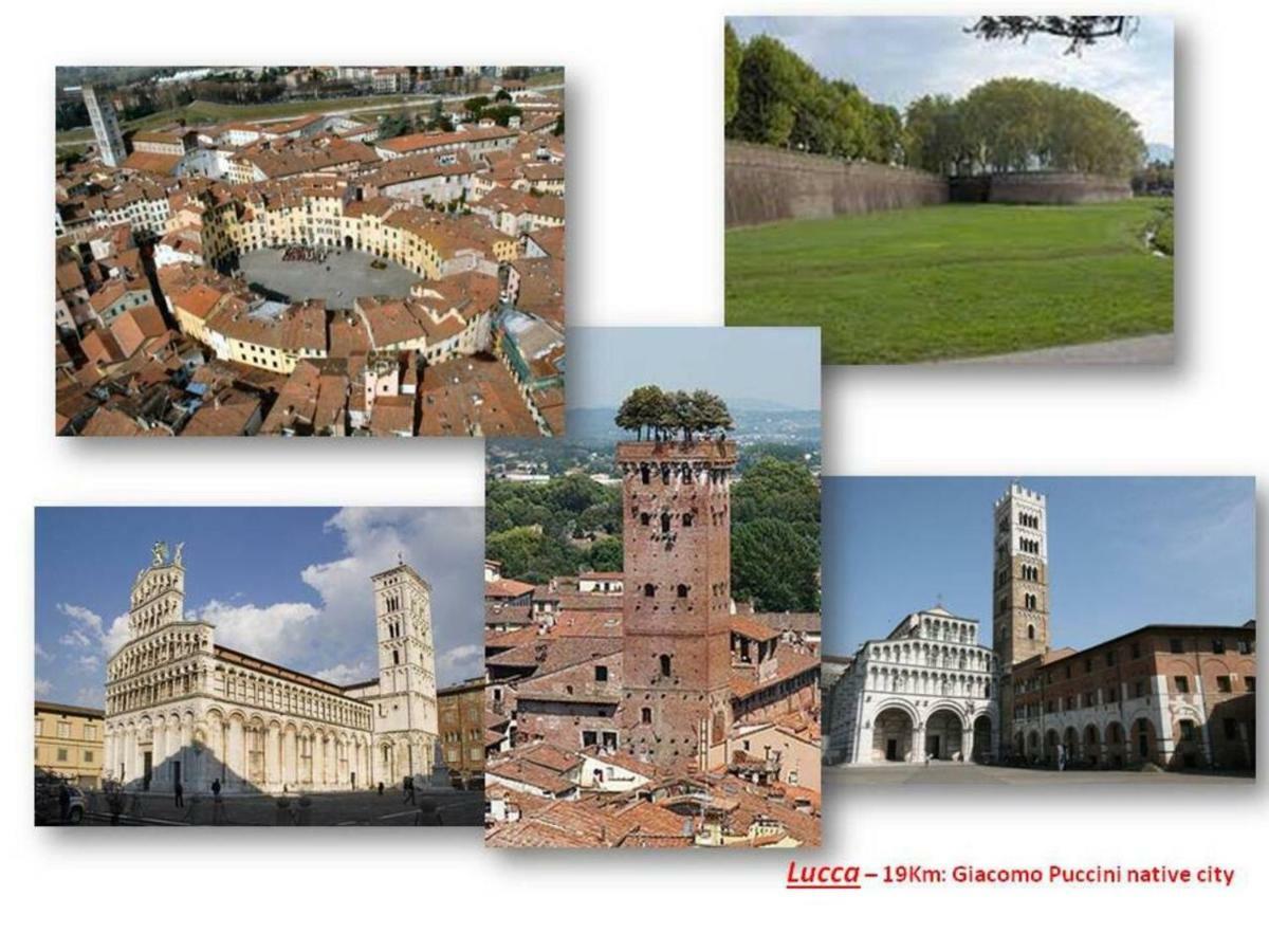 Altido Apt For 8 With Huge Terrace In Old Town Of Viareggio Zewnętrze zdjęcie